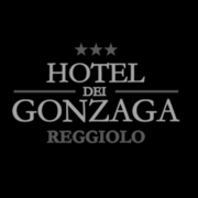 HOTEL DEI GONZAGA 